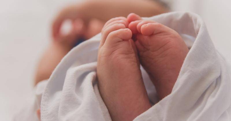 Unsplash/Luma Pimentel